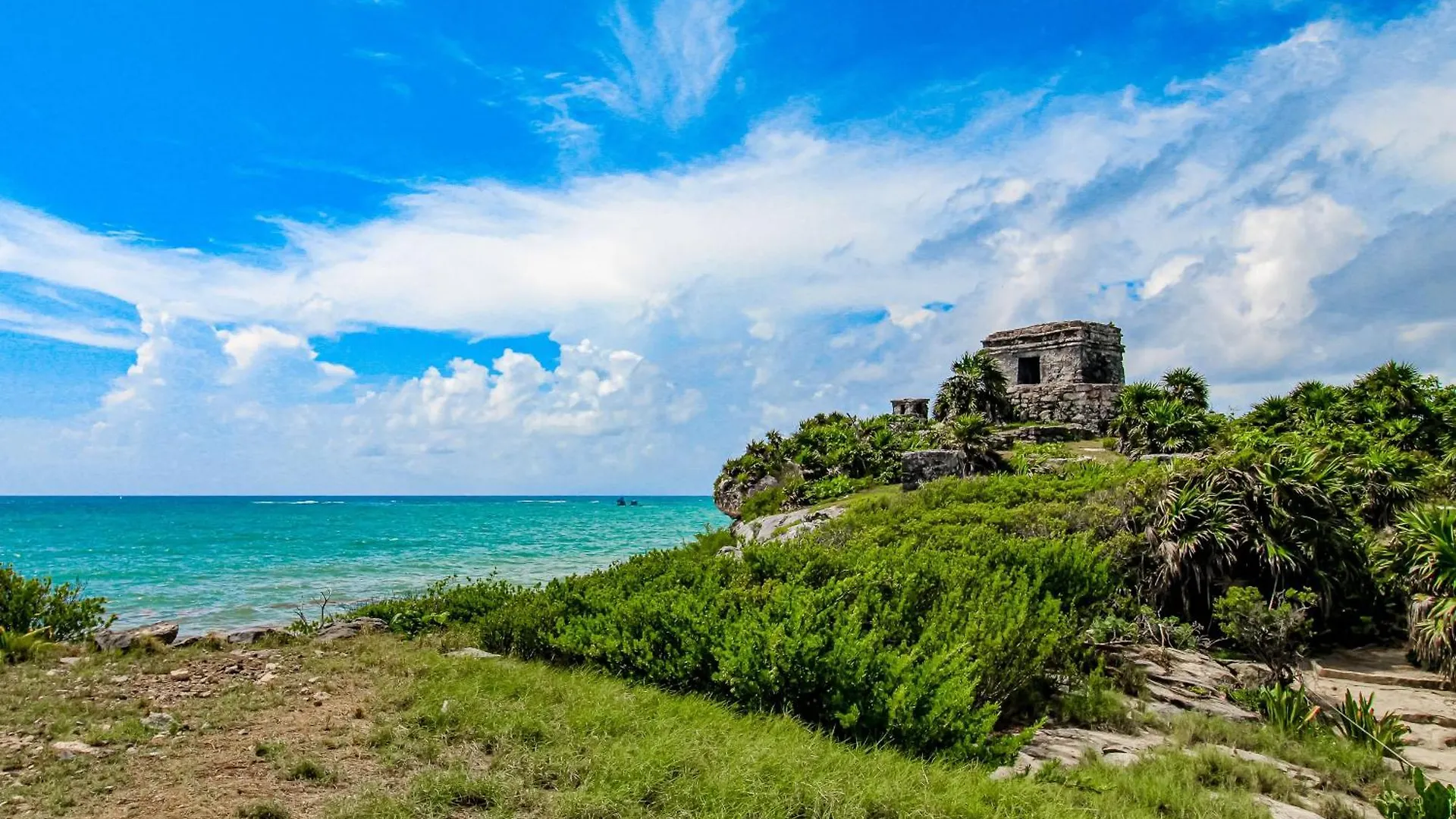 Hotel Amelia 104 Studio Tulum